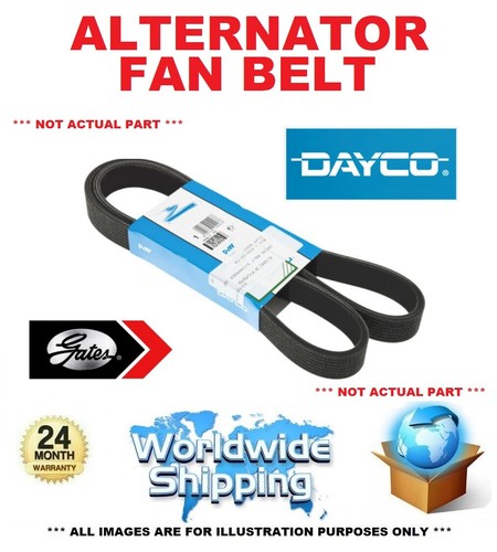 Alternator fan belt - belt, v-ribbed
